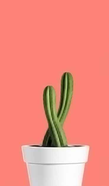 如何轰炸小三电话